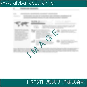 グローバルリサーチ調査資料のイメージ